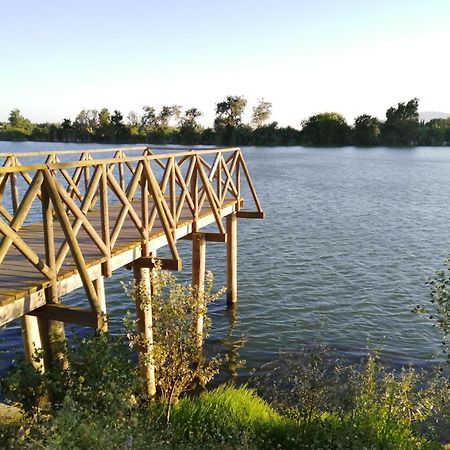 Апартаменты Somnis Del Delta Дельтебре Экстерьер фото